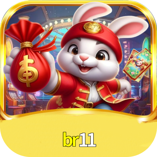 br11